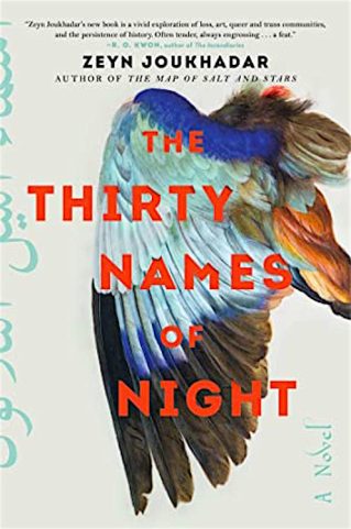 THE THIRTY NAMES OF NIGHT by Zeyn Joukhadar